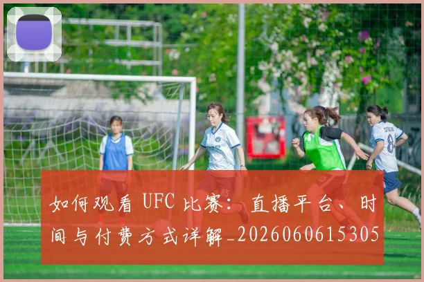 如何观看 UFC 比赛：直播平台、时间与付费方式详解_20260606153055