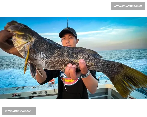 岱山海钓者意外发现：不同鱼类竟有独特 “语言”，百年渔谚暗藏声学密码